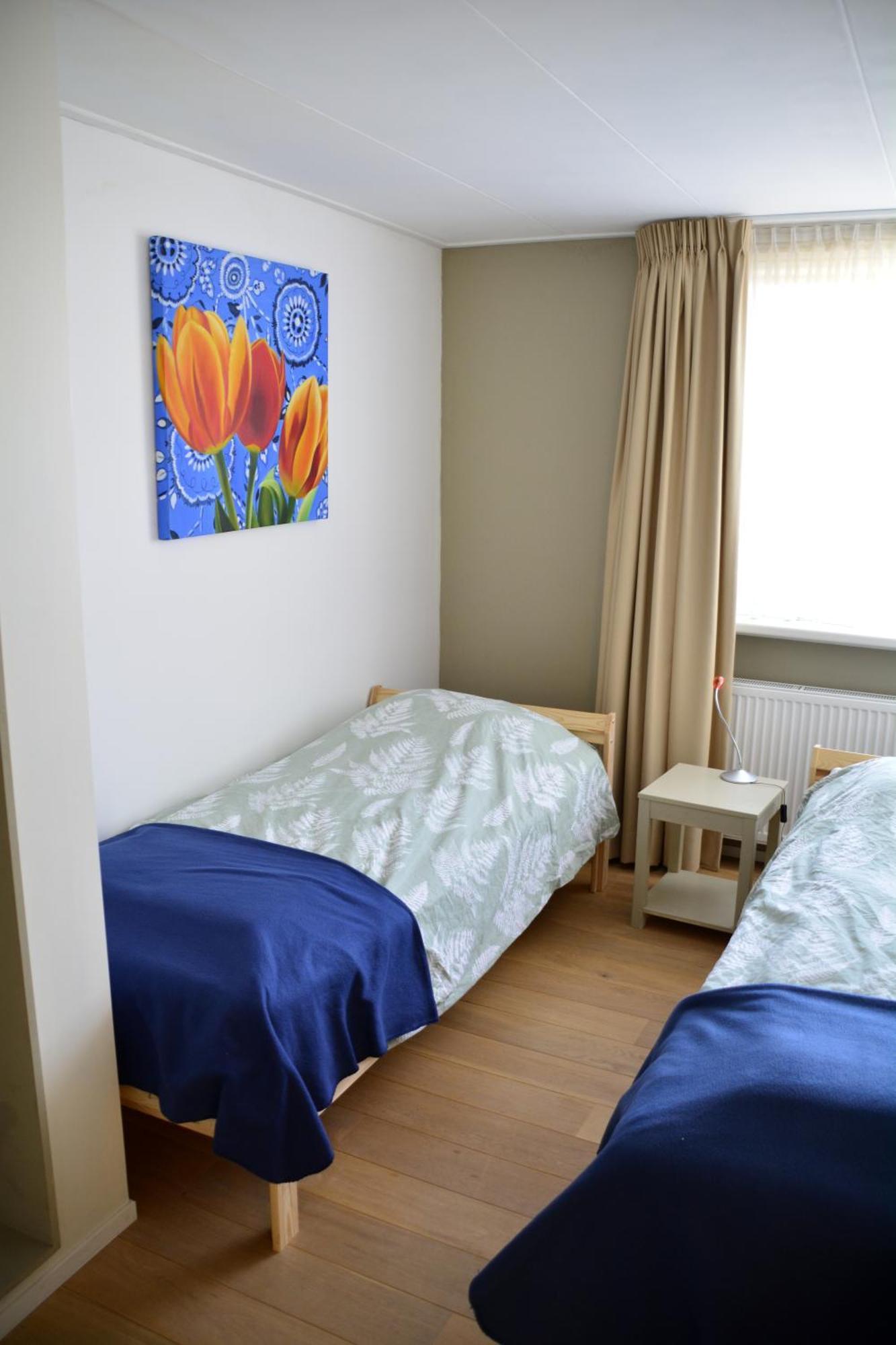 Tulpenzicht Villa De Zilk Ngoại thất bức ảnh